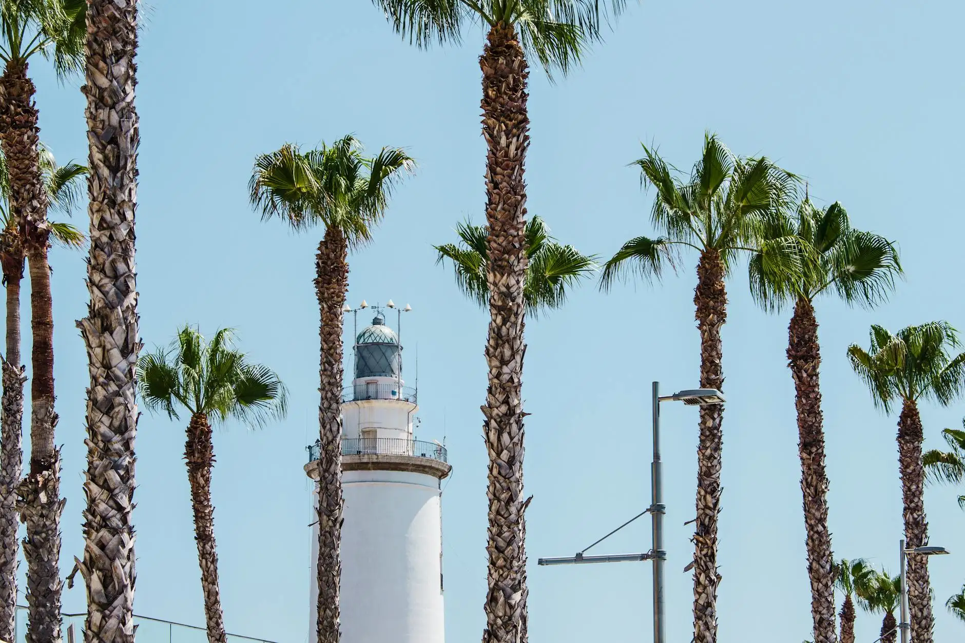Lighthouse surrounded by vibrant palm trees in Córdoba, Spain, under a clear blue sky.