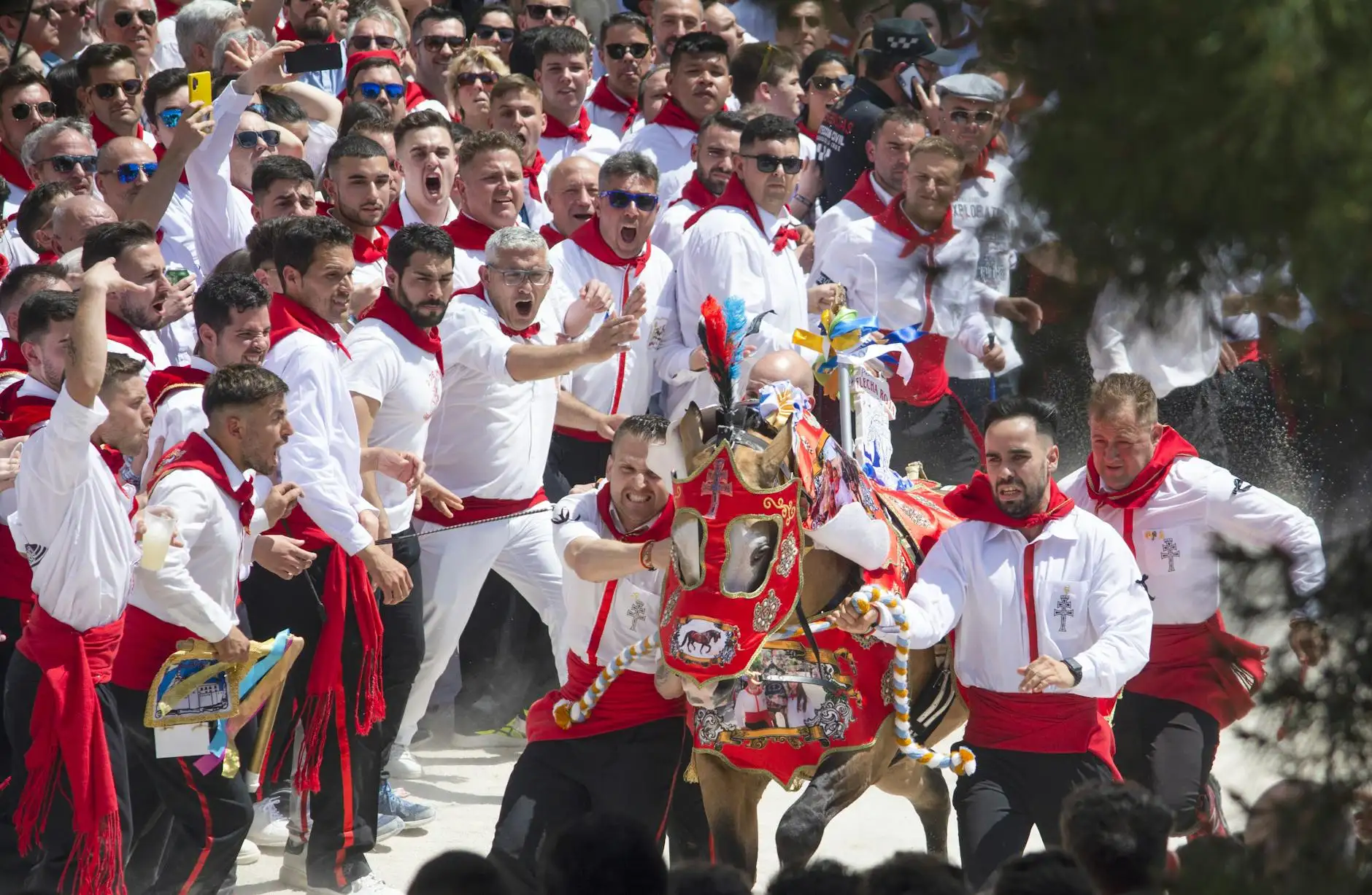 Colorful traditional festival with ornate horse and participants running in Caravaca de la Cruz.