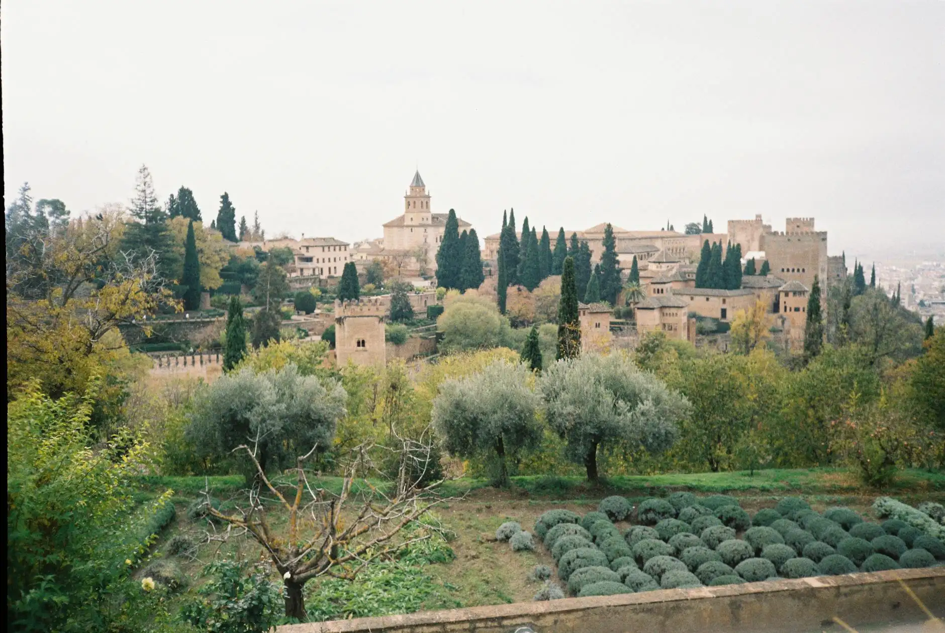 A picturesque view of the Alhambra Palace surrounded by lush greenery in Granada, Spain.